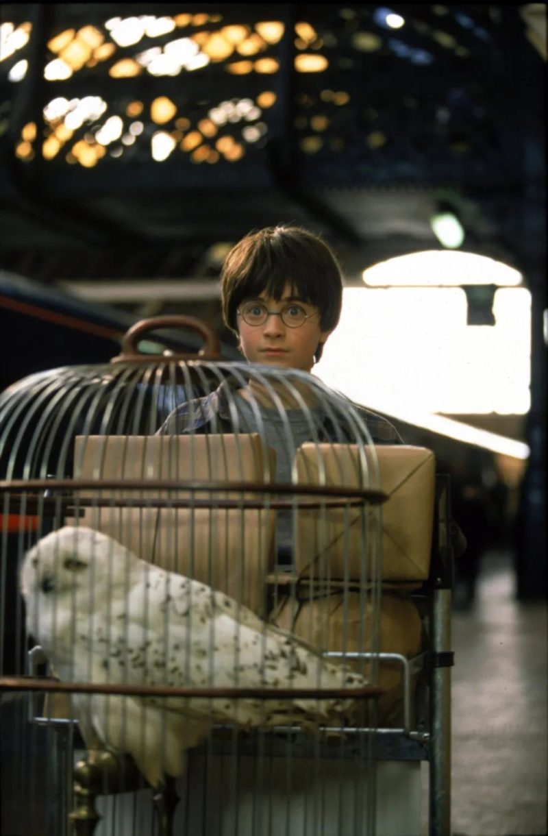 Harry Potter Pattern 5D Diamond Painting - Image 19